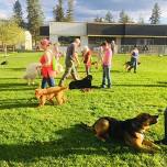 Canine Club – Sept 18 – Canine Games