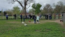 DSDS at Fruitdale Dog Park - Thursday 6-8 pm