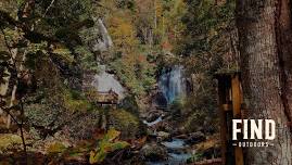 Snake Day at Anna Ruby Falls