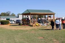 The Drive-In Mondays @ The Gazebo at Tillman Hill Public Library