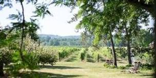 Morning Vineyard Walk - May 25, 2024 - 10:30am