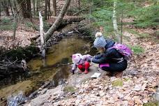 Nature Story Time: Brook Explore