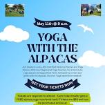 Yoga With The Alpacas