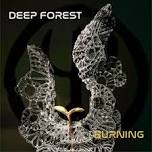 Deep Forest @ Agadir Beach