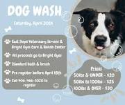 Dog Wash