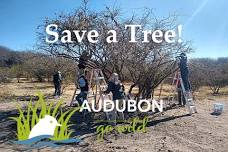 Volunteer to Save a Tree [] Audubon de Mexico