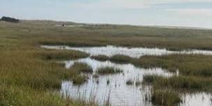 Monomoy Island National Wildlife Refuge Trail Walk - Chatham