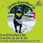 Labrador Meet Up at Club K9!