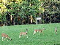 Kennesaw - Mountain Pass, Hardage Trail and Illinois Monument