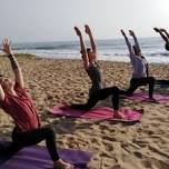 200 Hrs yoga teacher training in next auroville, Pondichery, india