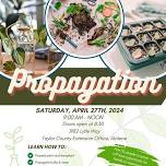 Plant Propagation - Free Saturday Seminar