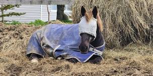 Annual Blueberry Tack Sale