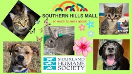 Southern Hills Mall Offsite Adoption Event