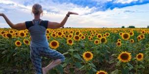 Sunflower Yoga