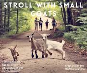 Stroll with Small Goats