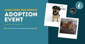 Saskatoon Dog Rescue Adoption Event