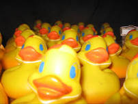 Port Broughton Annual Rubber Duck Race