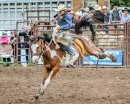 Heritage Days Open Rodeo