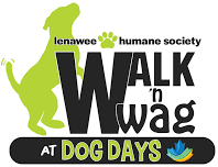 Walk ‘N Wag at Dog Days