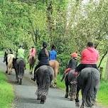 Pony Camp Activity  Day