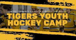 Tigers Youth Hockey Camp