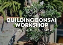 Building Bonsai Workshop