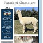 Parade Of Champions- Lot 2