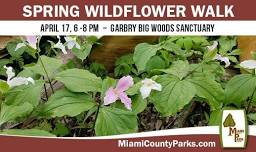 Spring Wildflower Walk