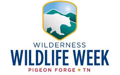 Wilderness Wildlife Week