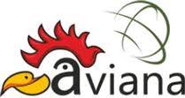 AVIANA AFRICA - KENYA