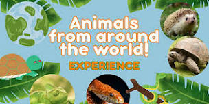 Animals from around the world! Kids Experience at UpCountry