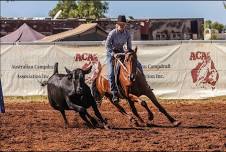 2024 ACA National Finals