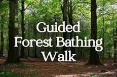 Guided Forest Bathing Walk