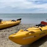 Full Day Kayaking Tour in Coorong National Park