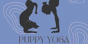 Puppy Yoga!!