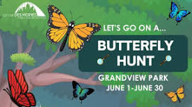 Butterfly Hunt