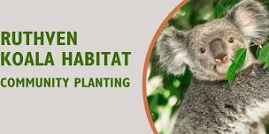 Community Planting - Ruthven Koala Habitat