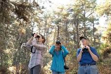 Nantucket Bird Walk