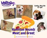 Hamilton Hounds Meet and Greet/Adoption Event and Pizza Fundraiser