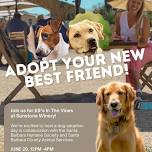 Sunstone Winery Adoption Event