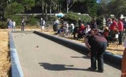 15th Annual Bocce Tournament!!! 2024