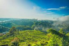 Nuwara Eliya Single Tree Hill Hike: Scenic Mountain Views in Sri Lanka