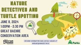 Nature Detectives and Turtle Spotting