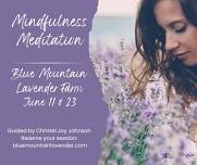 Mindfulness with Christel Joy on Sunday, June 23