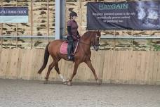 Andover Academy and Dressage Club