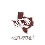 Bridge City Girls Varsity Volleyball @ Silsbee