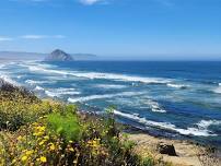 Nature Photography Day in Morro Bay