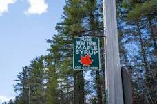 NY State Maple Festival | Thurman Maple Days | March 16-17, 2024