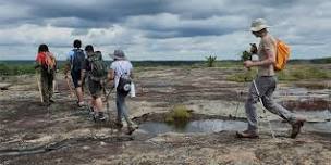 Morning Diamorpha Hike with Arabia Mountain Naturalists