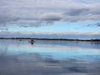 West Falmouth Harbor Kayak tour